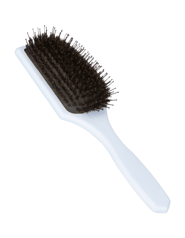 BLUE CUSHION BRUSH